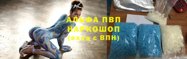 шишки Белоозёрский