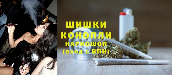 шишки Белоозёрский