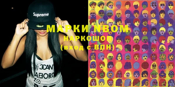 шишки Белоозёрский