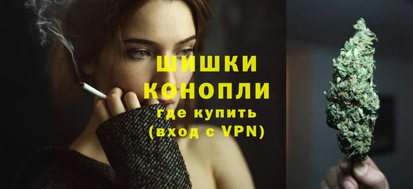 шишки Белокуриха