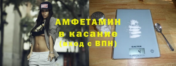 шишки Белоозёрский