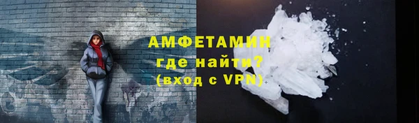 шишки Белоозёрский