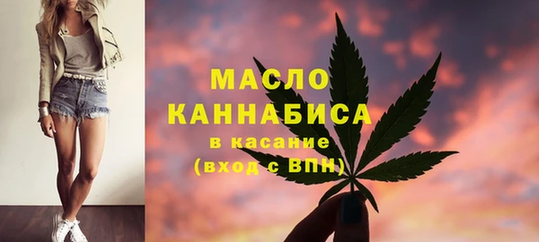 шишки Белокуриха