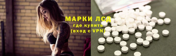шишки Белокуриха