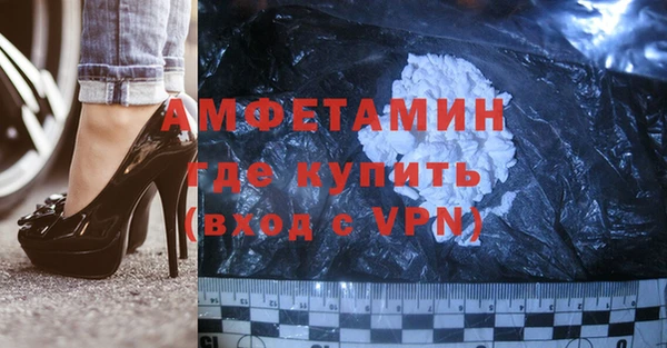 шишки Белокуриха