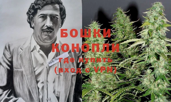 шишки Белоозёрский