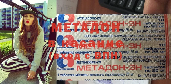 шишки Белокуриха
