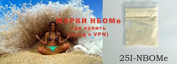 шишки Белокуриха