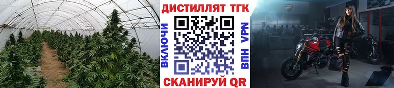 ТГК THC oil  Купить  Голицыно 